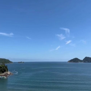 女子spa淫骚xo高潮视频
